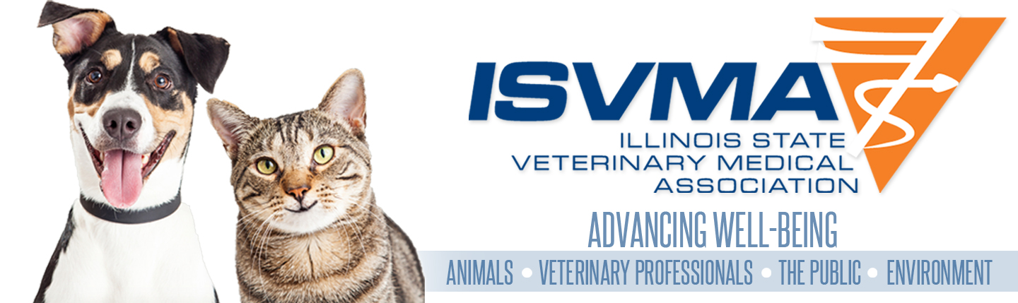 ISVMA LOGO HEADER_V1 ISVMA LOGO HEADER_V1